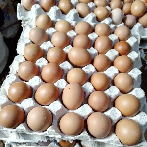 50 Crates of Fresh Eggs
